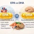 EPA vs DHA