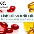 Fish Oil vs Krill Oil